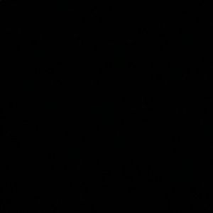 Meet your Posher, Bella